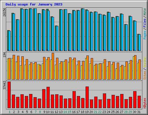 Daily usage for January 2023