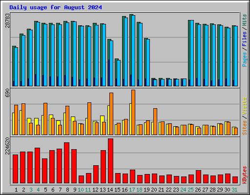Daily usage for August 2024