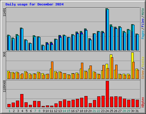 Daily usage for December 2024