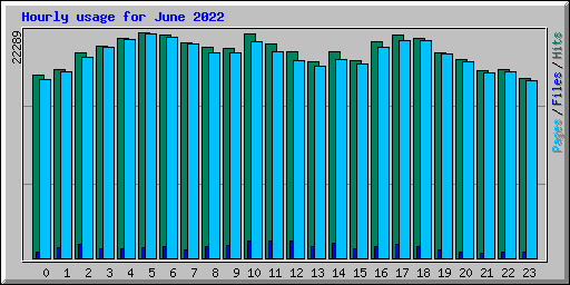 Hourly usage for June 2022