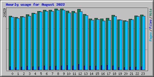 Hourly usage for August 2022