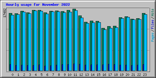 Hourly usage for November 2022