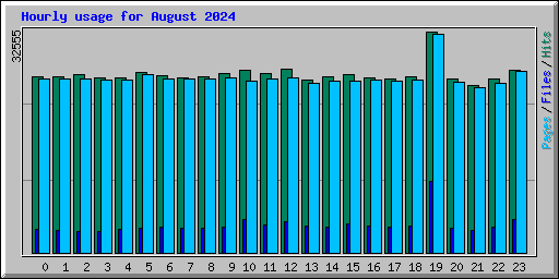 Hourly usage for August 2024