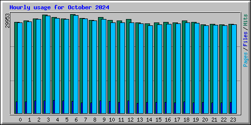 Hourly usage for October 2024