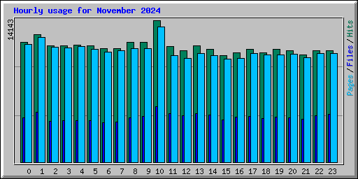 Hourly usage for November 2024