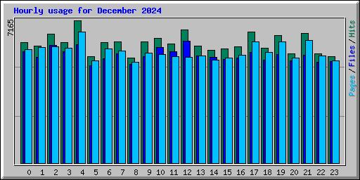 Hourly usage for December 2024