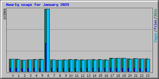 Hourly usage for January 2025