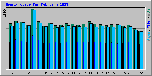 Hourly usage for February 2025